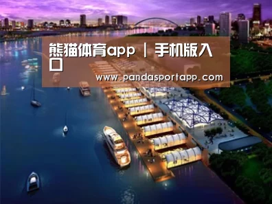 案例展示八