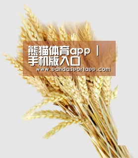 熊猫体育app | 手机版入口