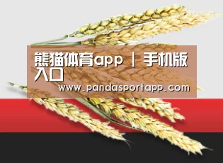 熊猫体育app | 手机版入口