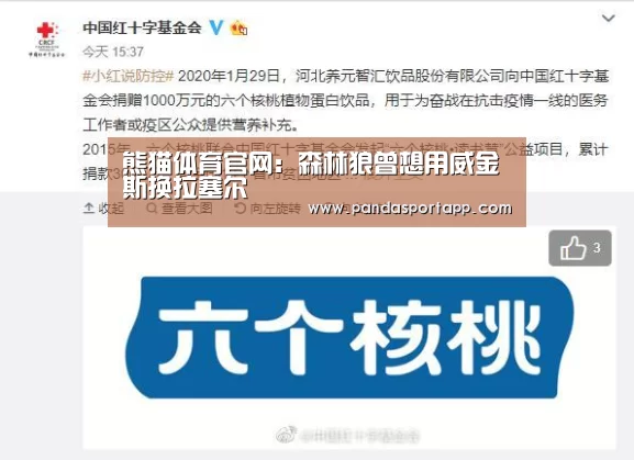 熊猫APP