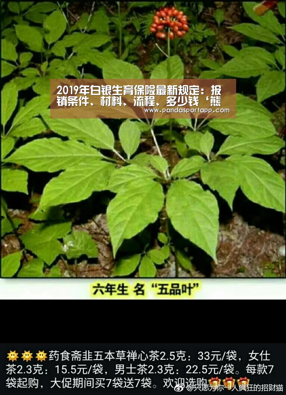 熊猫体育app