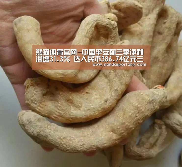 熊猫体育官网