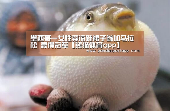 熊猫体育官网