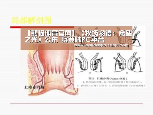 熊猫APP