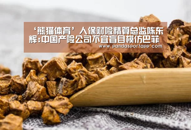 ‘熊猫体育’人保财险精算总监陈东辉:中国产险公司不宜盲目模仿巴菲特